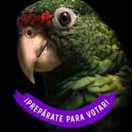 Benito Gordillo Baeza - @baezabenitogordillo - Instagram