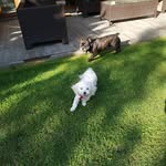 blanquita y benito baeza - @blanquitabenito123 - Instagram