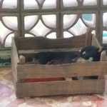 Benito Barragán - @hey_benito1 - Instagram