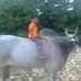 Benito Barragan Malagamba - Facebook