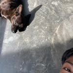 Benito🐕 - @benito._.barragan - Instagram
