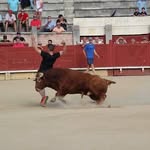 fernando benito carrillo - @fernandobenitocarrillo - Instagram