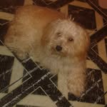 Benito Cervantes - @benito.cervantes.1804 - Instagram