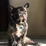 Benito - @benito_coronaa - Instagram
