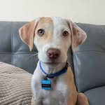 BENITO - @benitocortez20 - Instagram