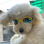 Benito Constanzo - @benito_constanzo - Instagram