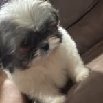 Benito Franco - @benitocore_ - Instagram