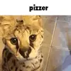 рfbh - @benitocook - TikTok