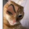 Benito Gutierrez - @benito.gutierrez78 - TikTok
