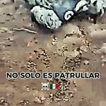 Benito Jacobo - @benitojacobo07 - Instagram