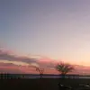 Beni Morales - @benito.morales79 - TikTok