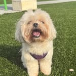 Benito Moreno - @benitoelmasbonito5 - Instagram