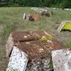 benitomoreno762 - @benitomoreno762 - TikTok