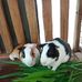 Mark Anthony Benito Natividad - Facebook