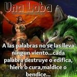 Benito Nava - @benito.nava.315 - Instagram
