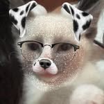 Benito Ocasio - @beni.ag1 - Instagram