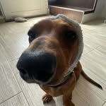 Benito Ramirez - @beniramz - Instagram