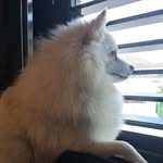 Benito Ramirez Barreto - @benitoramirezbarreto - Instagram