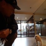 Benito Roa - @benito.roa.96 - Instagram