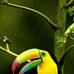 Benito Robles - Facebook