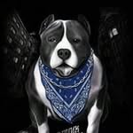 Benito Robles Ventura - @benitoroblesventura - Instagram