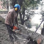 Benito Roman - @benito.roman.98892 - Instagram