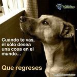 Benito Roman - @benitoroman8456 - Instagram