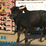 Benito Roman - @rancho5hermanos - Instagram