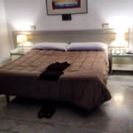francisco benito rubio - @rubiofranciscobenito - Instagram