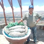 Benito Salgado - @benito.salgado.9484 - Instagram