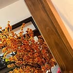 Benito Ruiz Segundo - @benitoruizsegundo - Instagram