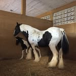 Benito Serrano - @benitoserrano3814 - Instagram