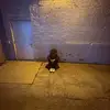 Sherrod - @stepsherrod - TikTok