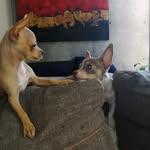 Benito & Simón - @benitosimon3 - Instagram
