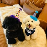 Benito and Simon - @benitoandsimon - Instagram