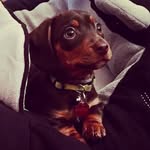 Benito, Simón y Martín - @benitosimonymartin - Instagram