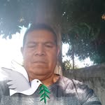 Benito Solorio - @benito.solorio.547 - Instagram