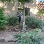 Benito Solorio Carlos - @benitosoloriocarlos - Instagram