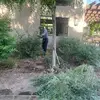 benitosoloriocarl - @benitosoloriocarl - TikTok