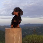 Benito Sousa - @benito_teckel - Instagram