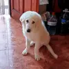 benitosousalopez - @benitosousalopez - TikTok