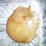 Benito Suarez - @benitosuarez9323 - Instagram