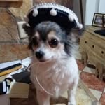 Benito Suarez - @benitosuarez271 - Instagram