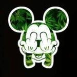 Benito Trejo - @benito141104 - Instagram