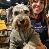 Benito Trejo - @benitoelperritocool - TikTok