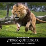 Benito Trejo - @trejo1334 - Instagram