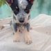 Benito Valle - Facebook