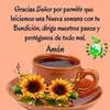 Benito Velez - @benito.velez3 - TikTok