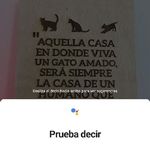 Benito Villegas - @benito_villegas_ - Instagram