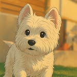 Benito West - @benitowest2012 - Instagram